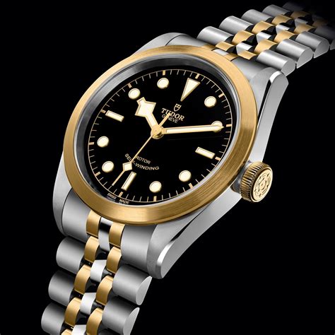 tudor biwan series|tudor black bay s&g.